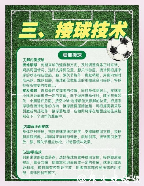 全面解析世界杯外围平台的特点与优势